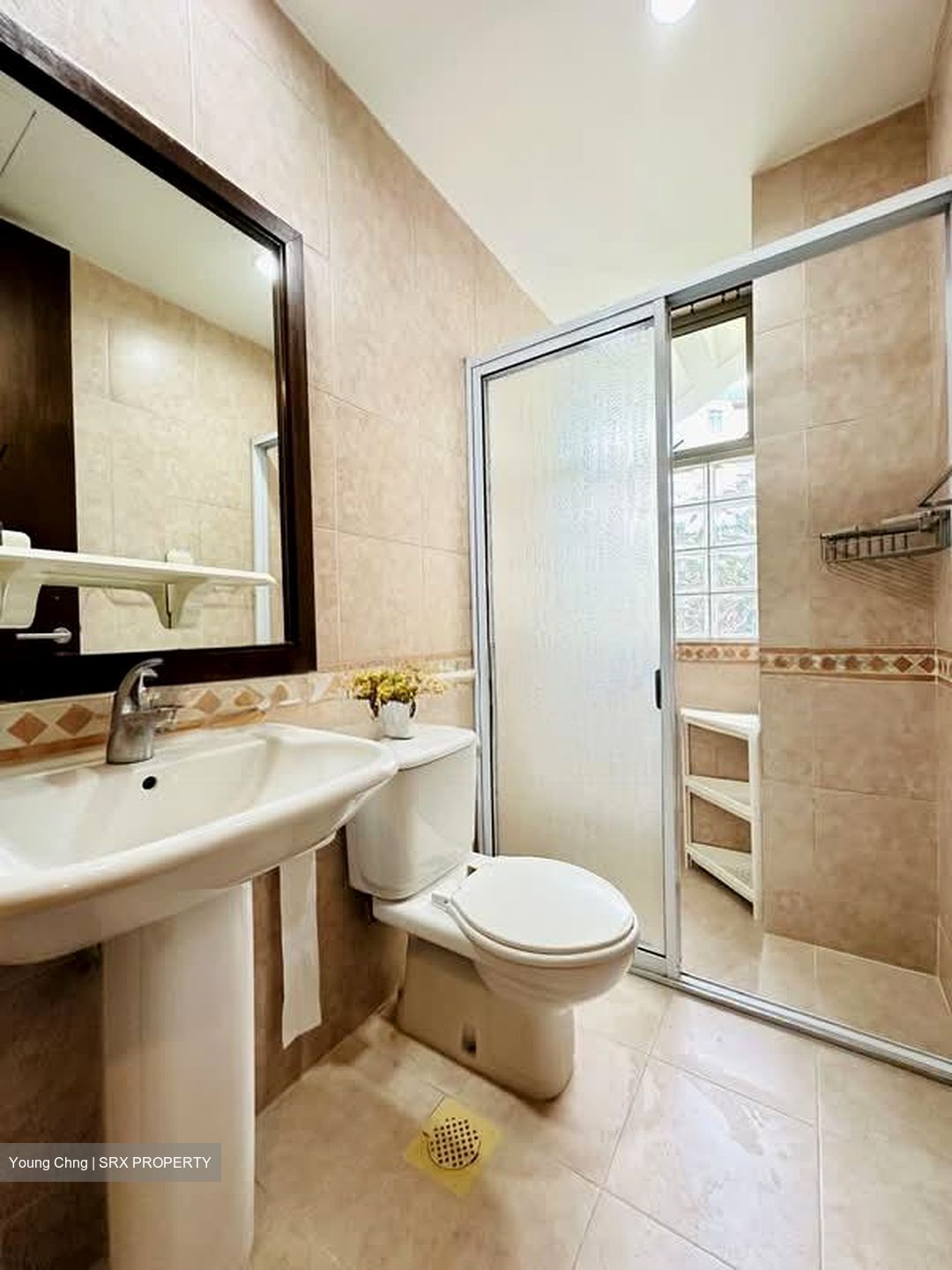 Maplewoods (D21), Condominium #534504861